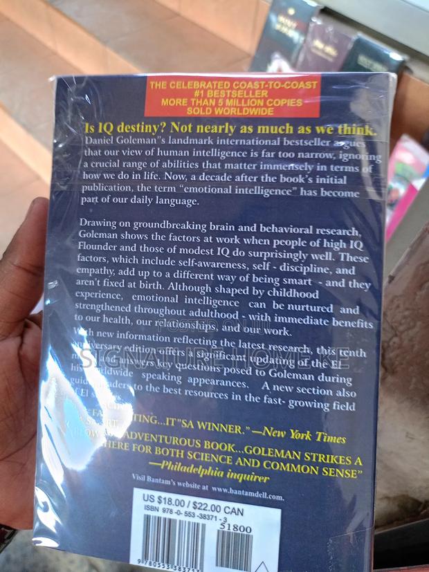 Emotional Intelligence Novel - thumbnail 3