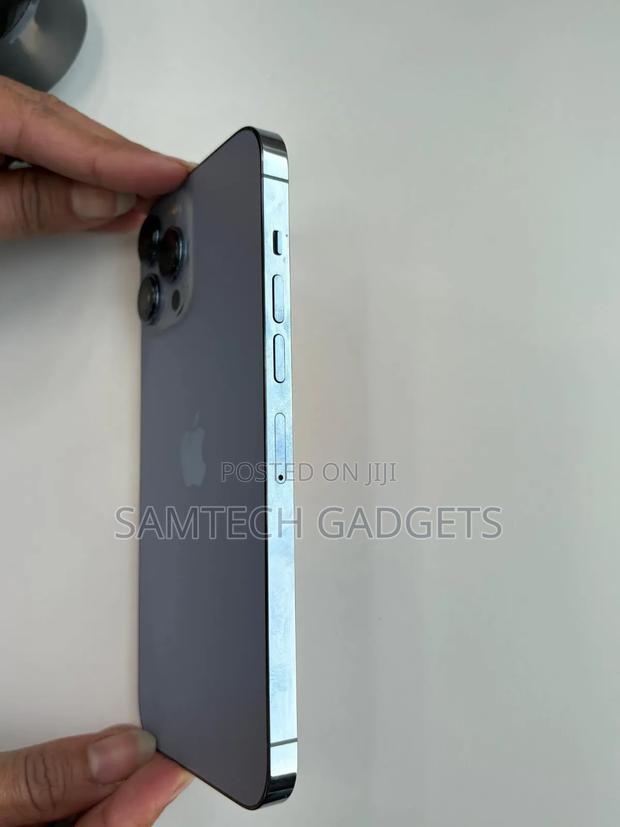 Apple iPhone 13 Pro Max 256 GB Gray - thumbnail 2