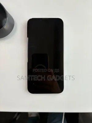 Apple iPhone 13 Pro Max 256 GB Gray