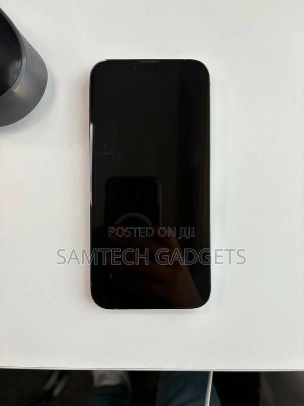 Apple iPhone 13 Pro Max 256 GB Gray - thumbnail 3