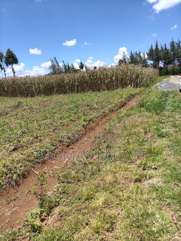Eldoret Segemiat 1⁄4 Acre Plot for Sale - thumbnail 3