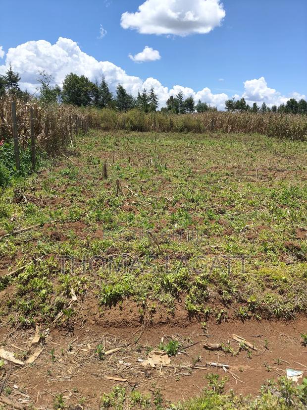 Eldoret Segemiat 1⁄4 Acre Plot for Sale - thumbnail 4