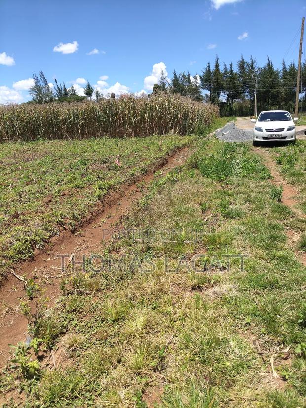 Eldoret Segemiat 1⁄4 Acre Plot for Sale - thumbnail 5