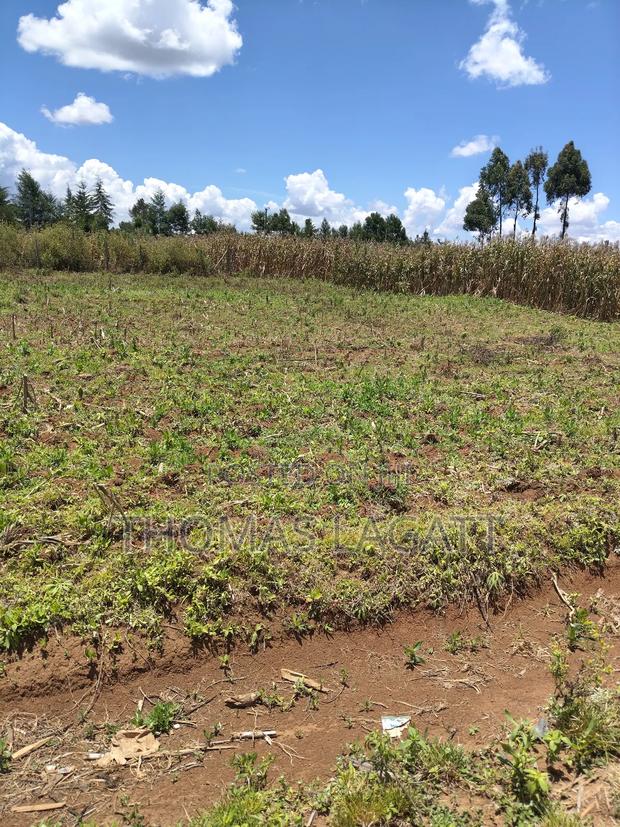 Eldoret Segemiat 1⁄4 Acre Plot for Sale - thumbnail 6