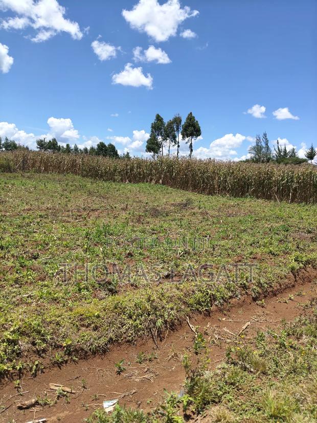 Eldoret Segemiat 1⁄4 Acre Plot for Sale - thumbnail 7
