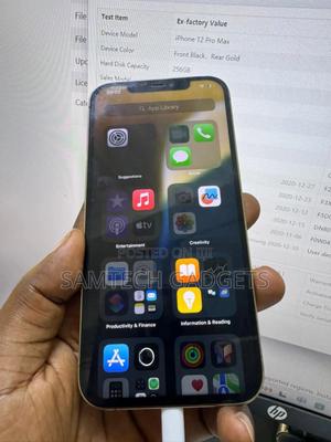 Apple iPhone 13 Pro Max 256 GB Gold - thumbnail 2