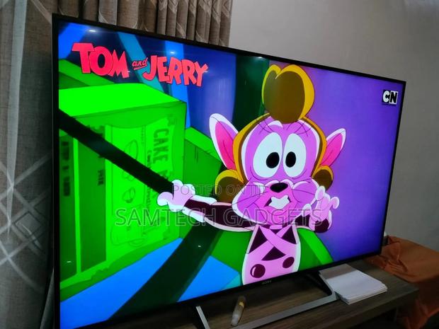 Sony 55 Inch Tv - thumbnail 3