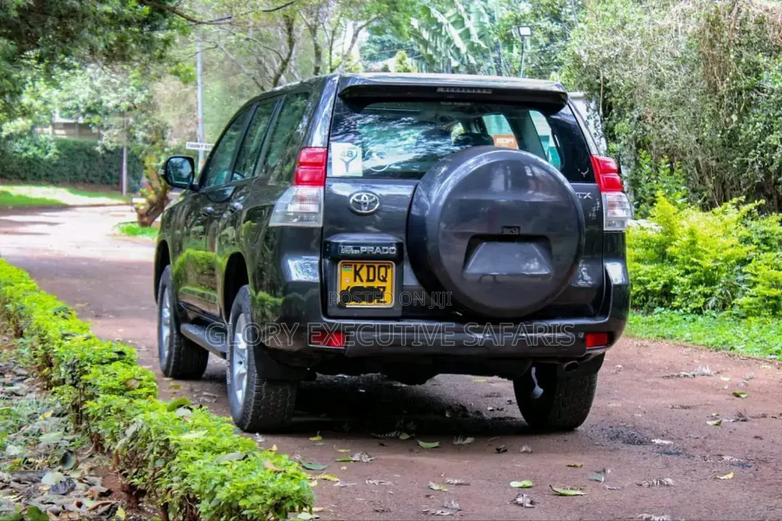 Car Hire Services