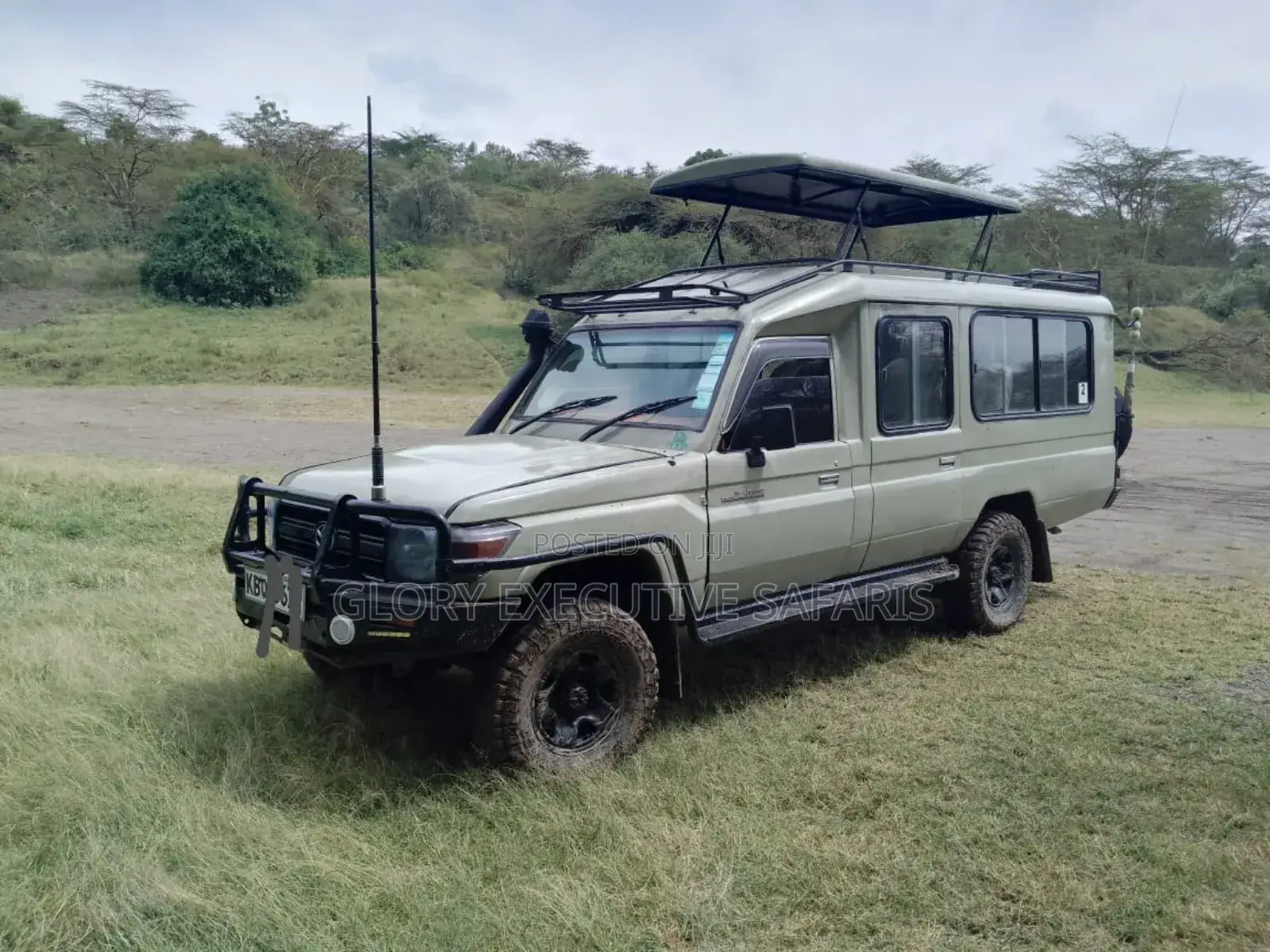 Car Hire Services