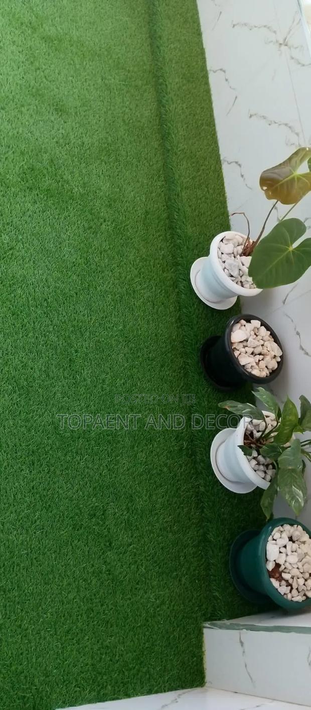 Evergreen Artificial Lawn for Home Makeover - main view