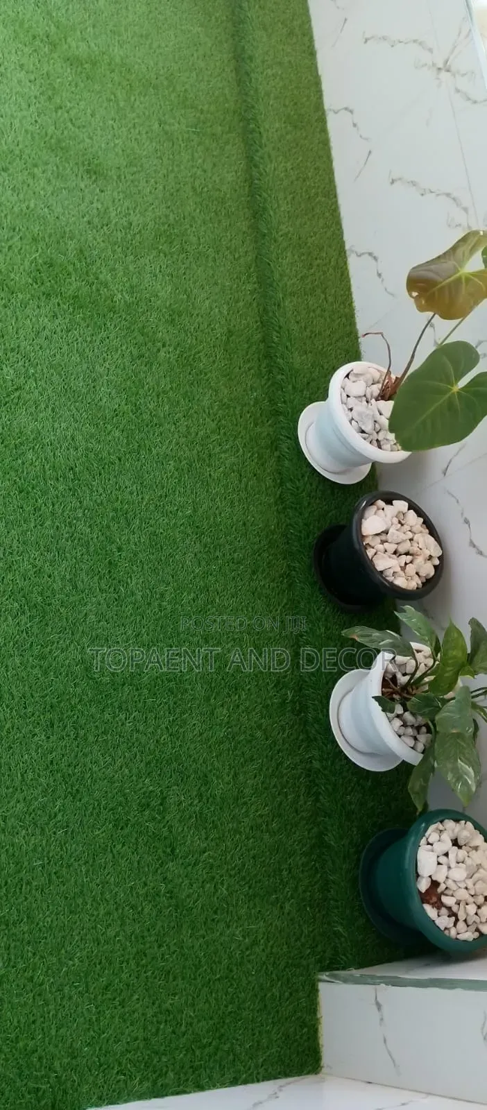 Evergreen Artificial Lawn for Home Makeover