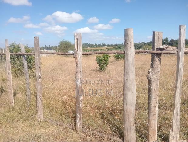 Quarter Acre (2*50/100 Plots) - thumbnail 3