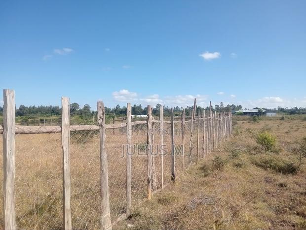 Quarter Acre (2*50/100 Plots) - thumbnail 4