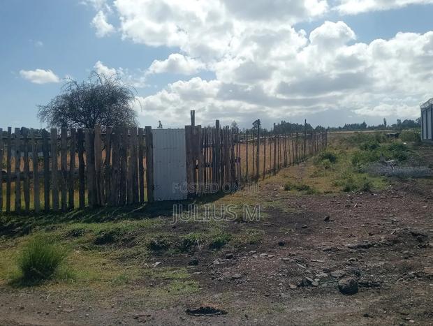 Quarter Acre (2*50/100 Plots) - thumbnail 5