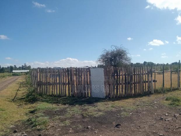 Quarter Acre (2*50/100 Plots) - thumbnail 6