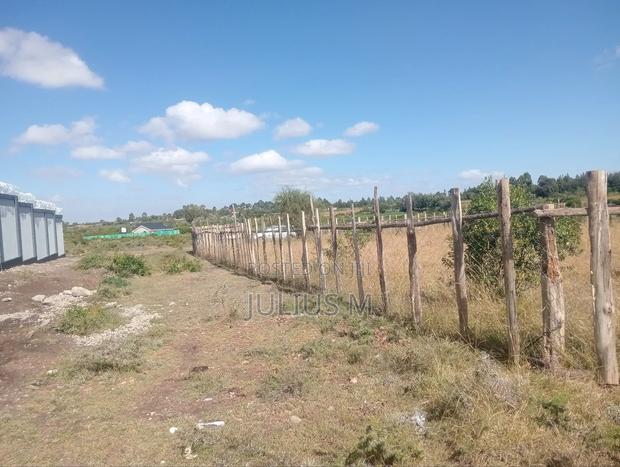 Quarter Acre (2*50/100 Plots) - thumbnail 7