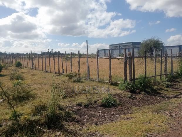 Quarter Acre (2*50/100 Plots) - thumbnail 8