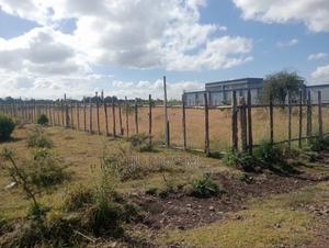 Quarter Acre (2*50/100 Plots) - thumbnail 2