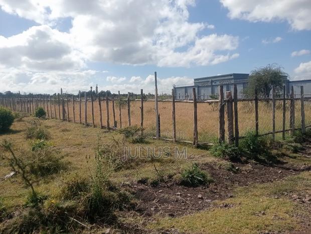 Quarter Acre (2*50/100 Plots) - main view