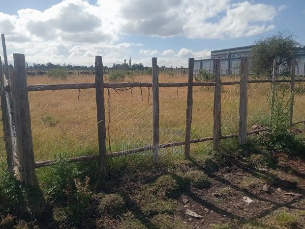 Quarter Acre (2*50/100 Plots) - thumbnail 9