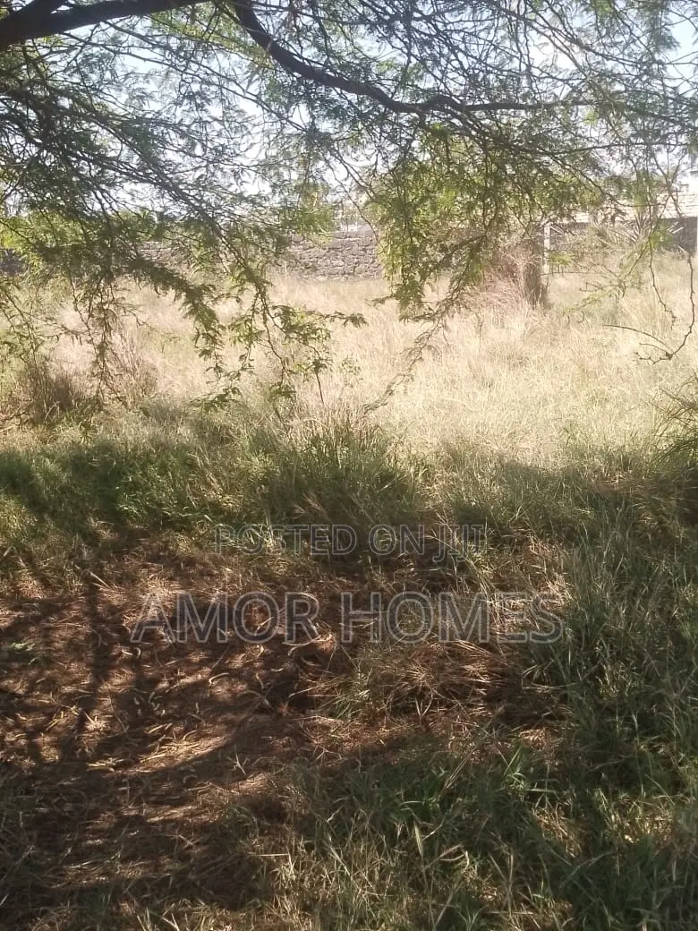 Plot 4 Sale