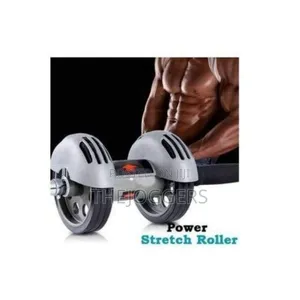 Double Ab Roller Abs Abdominal Workout Fitness Gym With Knee Pad