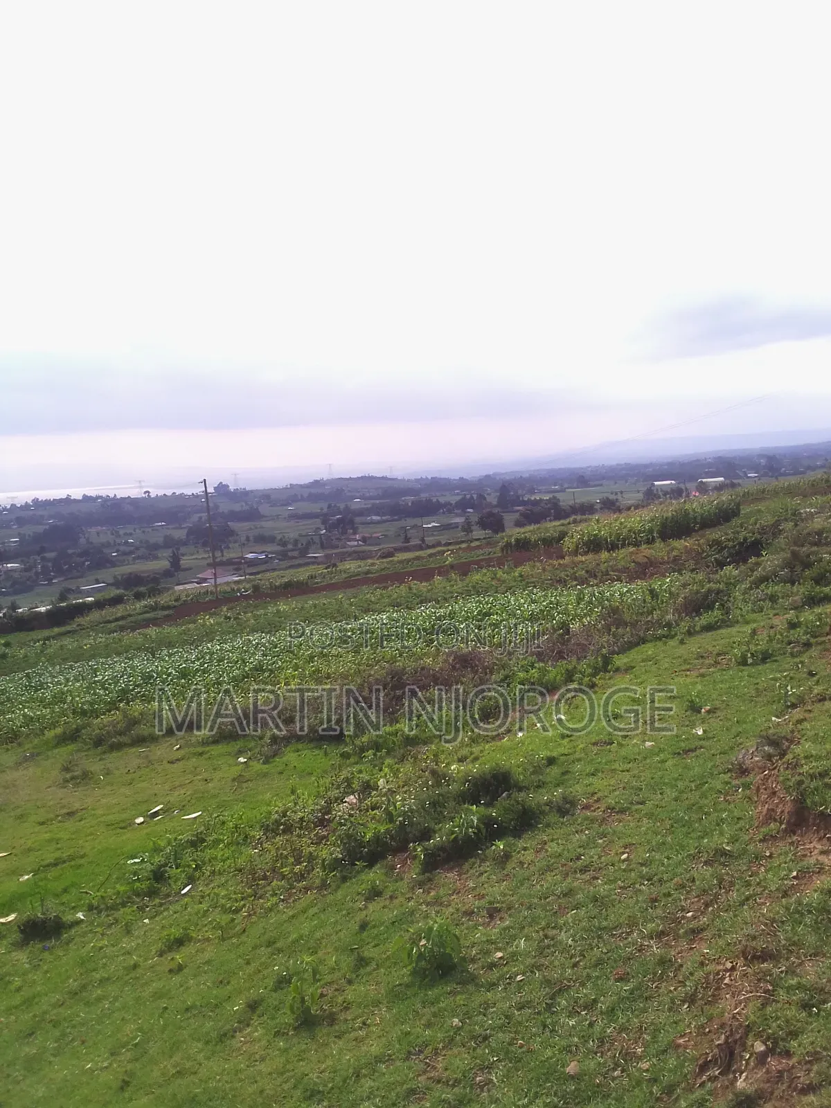 10 Acres Ihindu