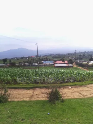10 Acres Ihindu