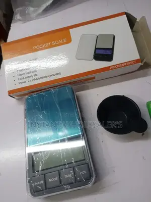 Accurate Pocket Scale Portable