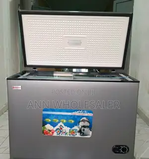 Von 300litres Deep Freezer