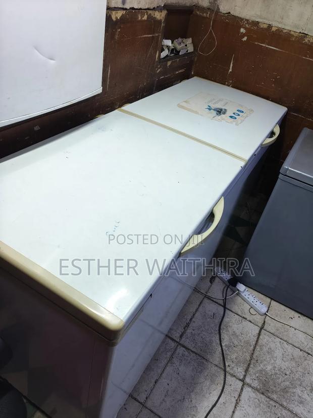 Ramtoms Commercial Deep Freezer