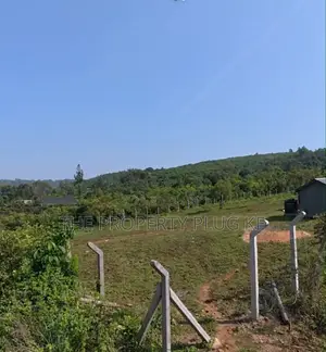 50 By 100 Plots For Sale In Riat Kisumu