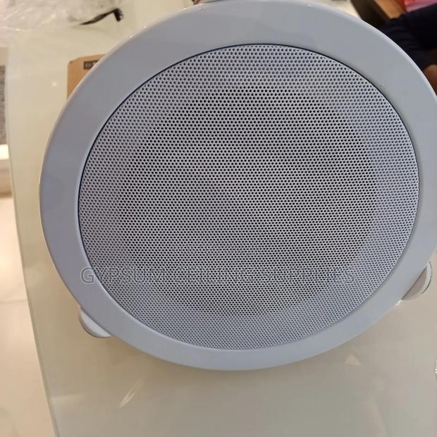 Ceiling Mounting Speaker - main view