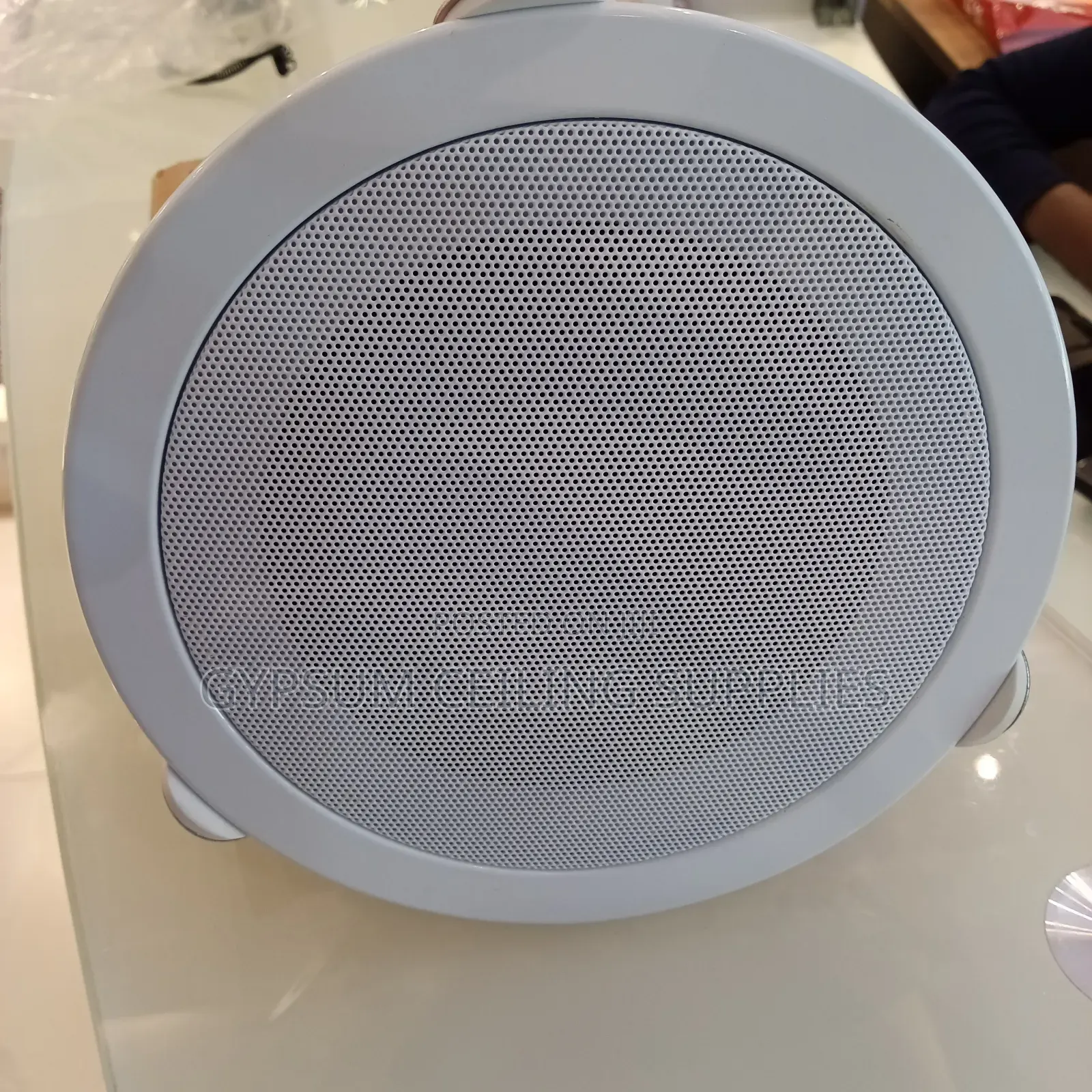 Ceiling Mounting Speaker