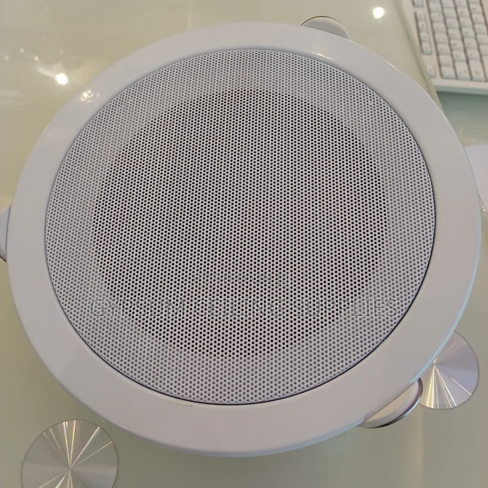 Ceiling Mounting Speaker