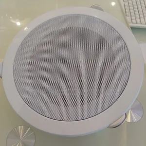 Ceiling Mounting Speaker