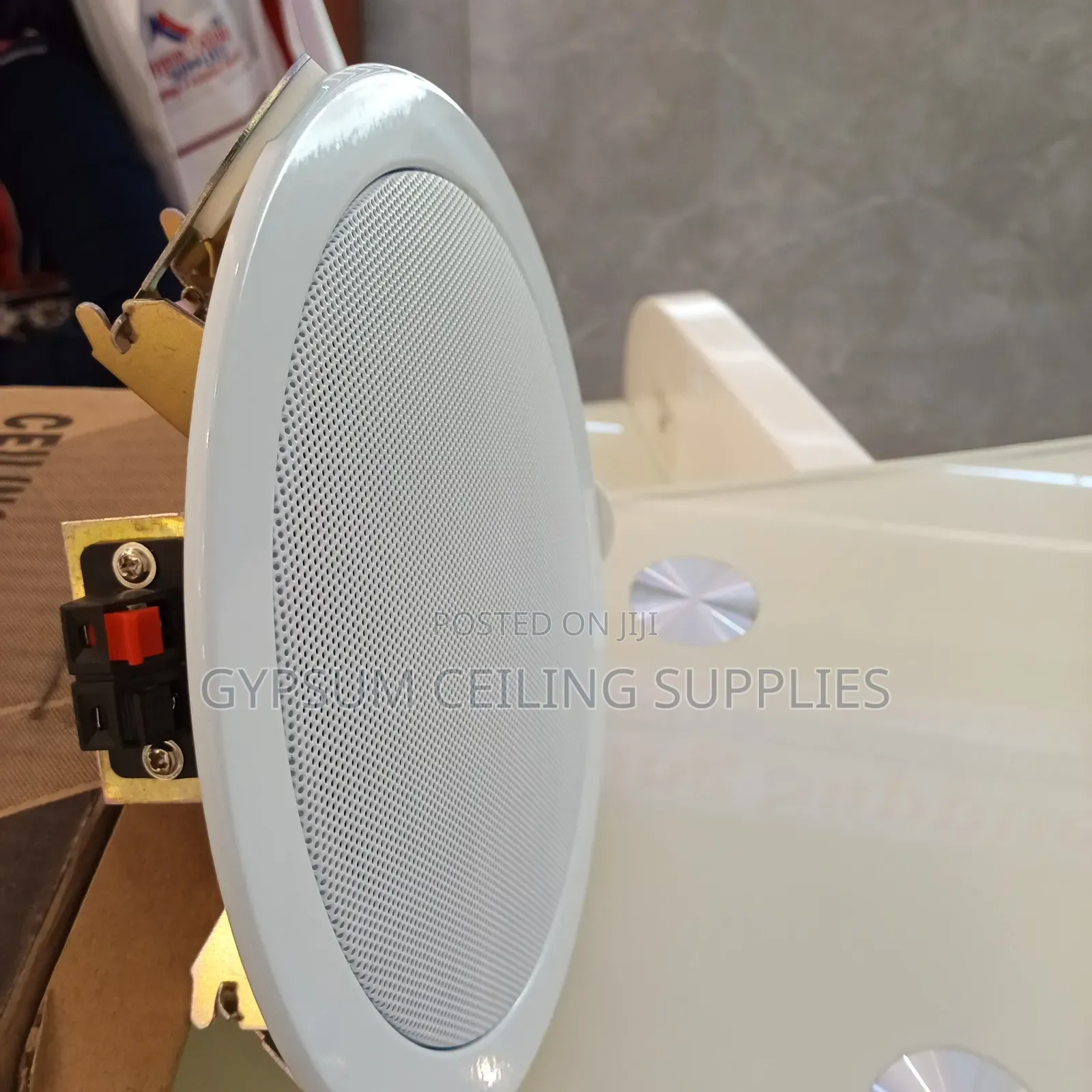 Ceiling Mounting Speaker