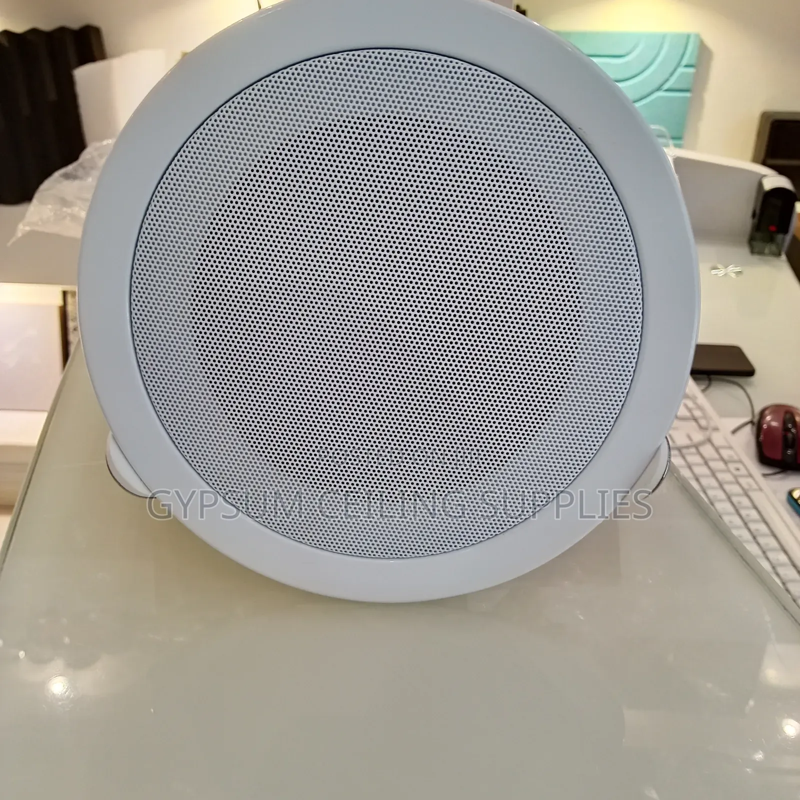 Ceiling Mounting Speaker
