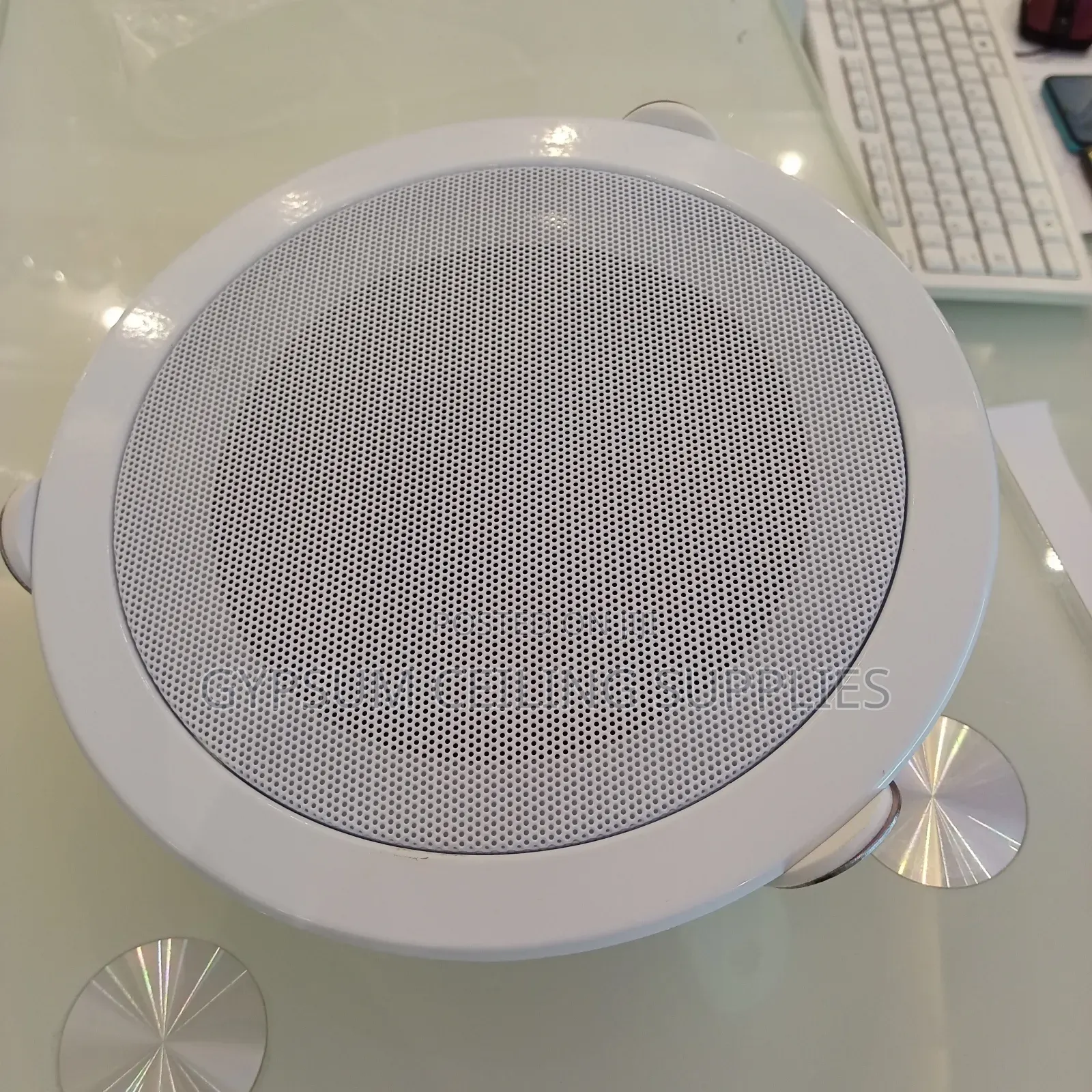 Ceiling Mounting Speaker