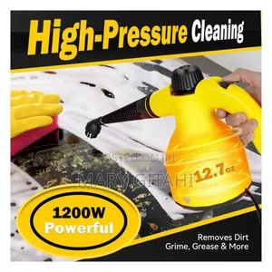 *220v Handheld High Temperature Steam Cleaner