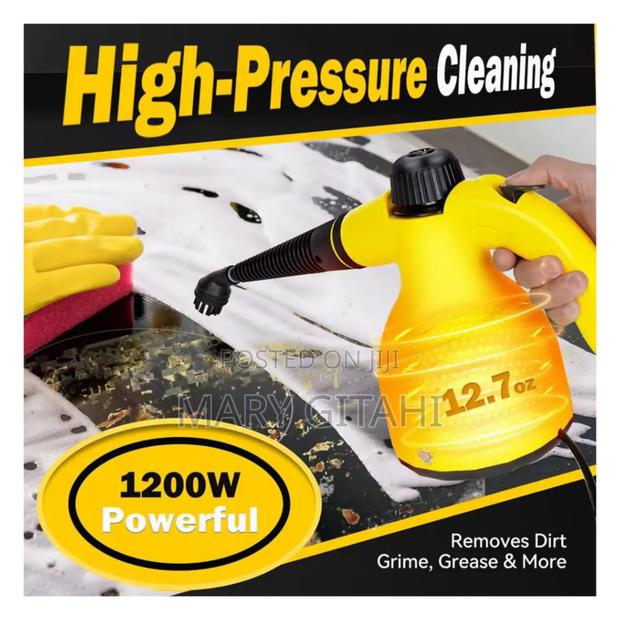 *220v Handheld High Temperature Steam Cleaner
