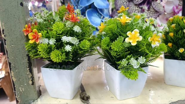Bonsai Mixed Flowers in Stock - main view