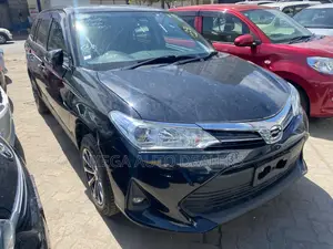 Toyota Corolla Fielder 2018 Black