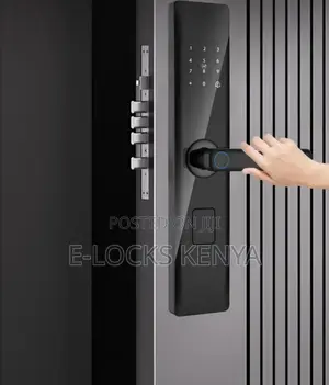 Automatic Smart Lock Tuya Wifi Electronic Smart Lock