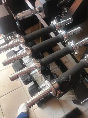 Standard Barbell Dumbbells Bars++ Weight Locks