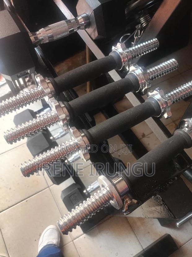 Standard Barbell Dumbbells Bars++ Weight Locks