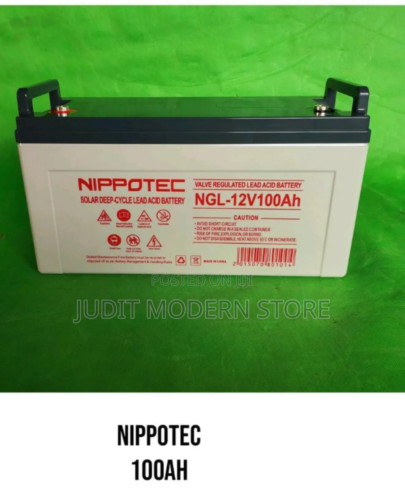 Nippotec 100ah Solar Battery