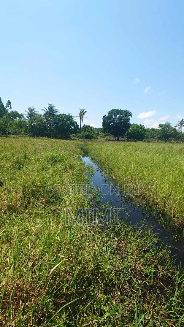Reduced Price ! 3.9 Acre of Fertile Farmland at Mrima ,Bwiti Freehold