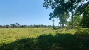 Reduced Price ! 3.9 Acre of Fertile Farmland at Mrima ,Bwiti Freehold
