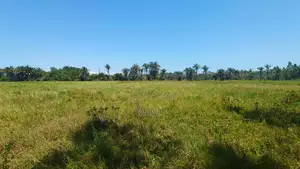 Reduced Price ! 3.9 Acre of Fertile Farmland at Mrima ,Bwiti Freehold